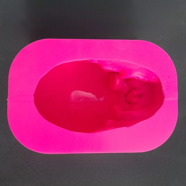 Large Skull Silicone Mold - Image 4