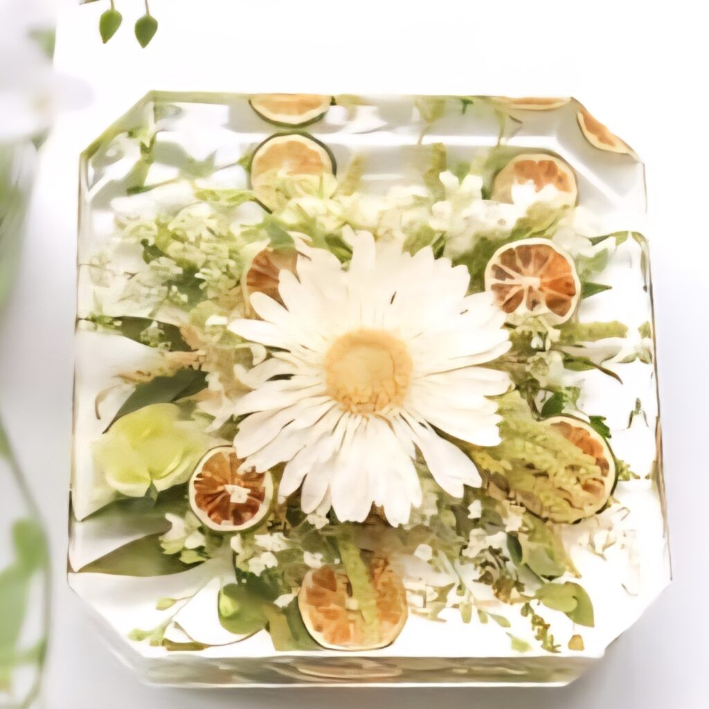 Where Flowers Live On: The Art of Preservation and the MOLDi Difference