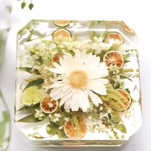 Where Flowers Live On: The Art of Preservation and the MOLDi Difference